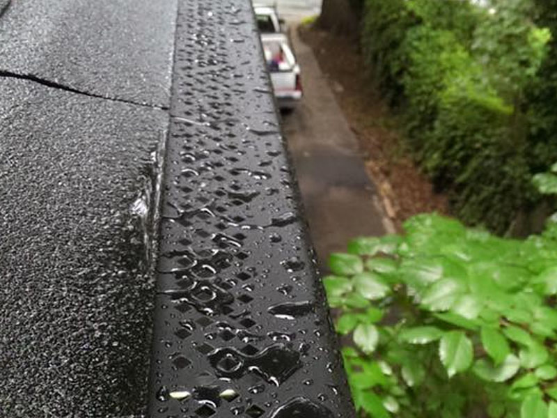 Professional Gutter Cleaning — On the Ladder